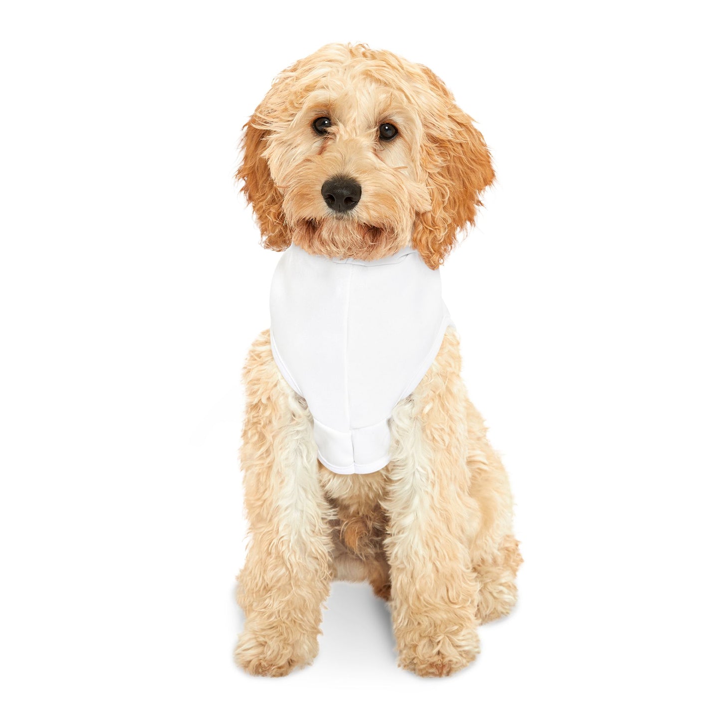 Happy Daisy Pet Hoodie - Cozy Floral Dog Wear for Stylish Pets - DiRoMi