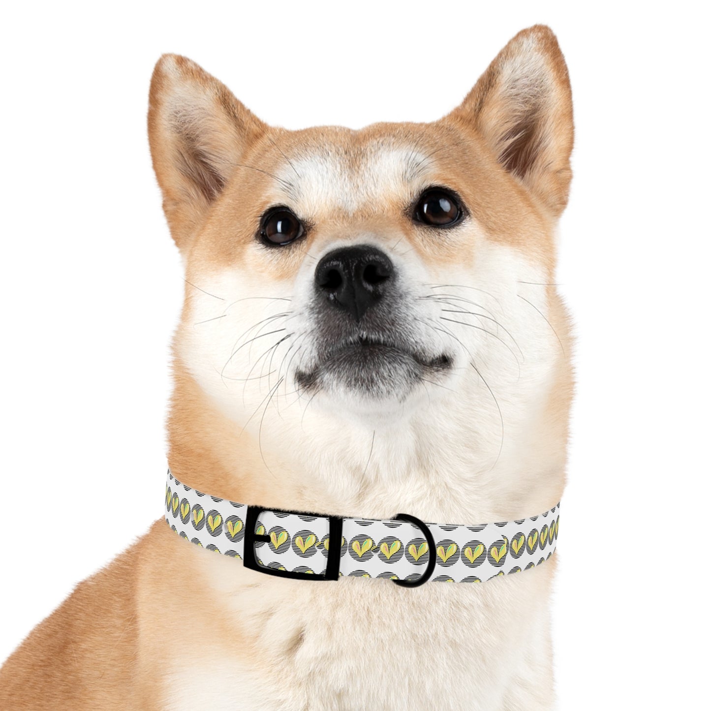 Trendy Dog Collar with Heart Design