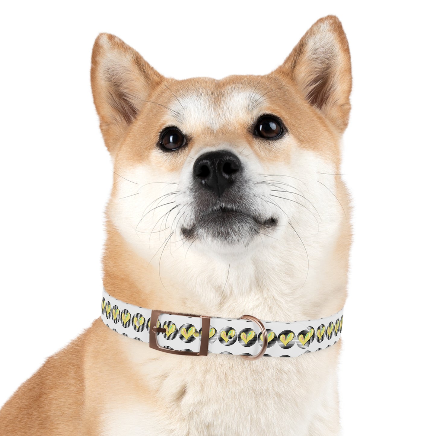 Trendy Dog Collar with Heart Design