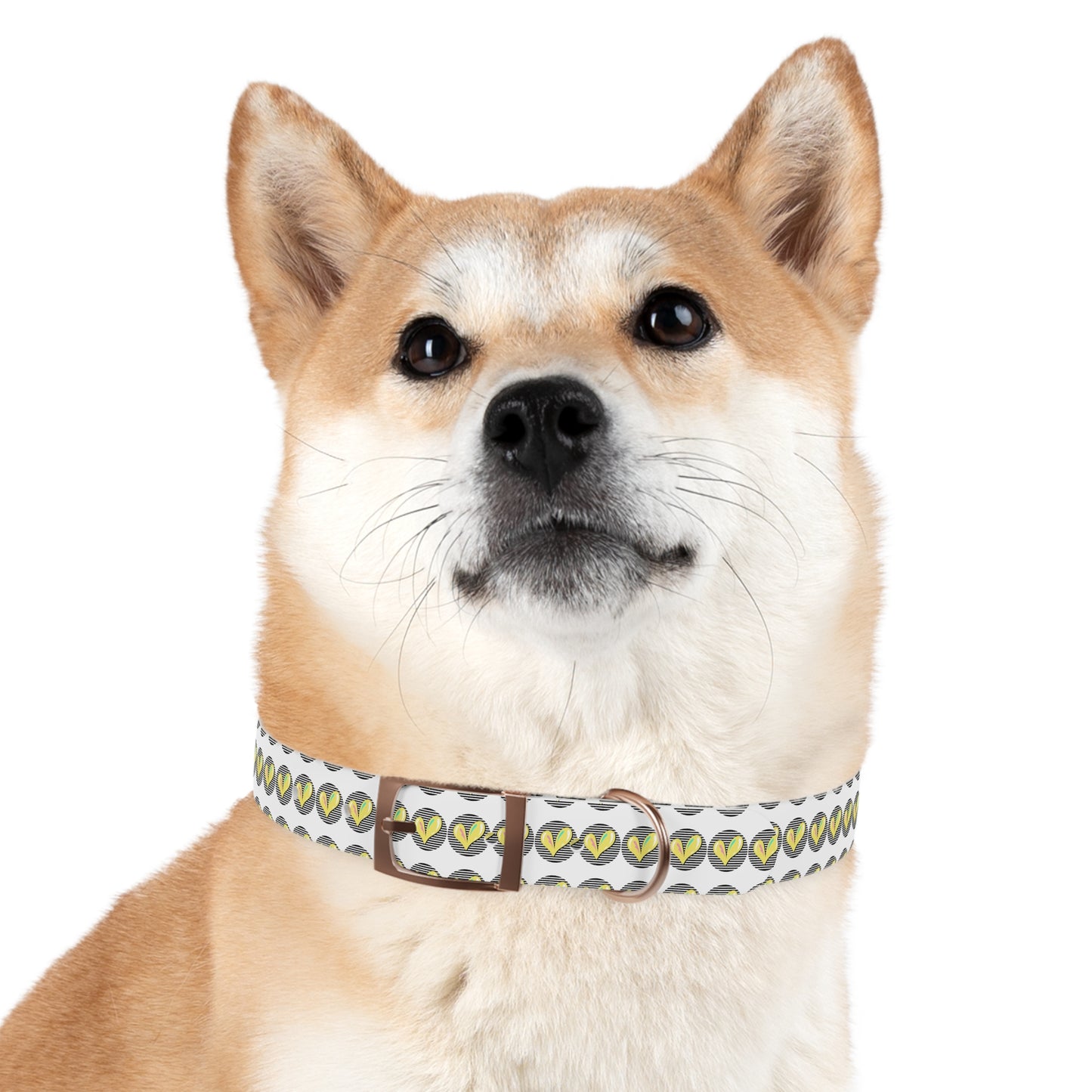 Trendy Dog Collar with Heart Design