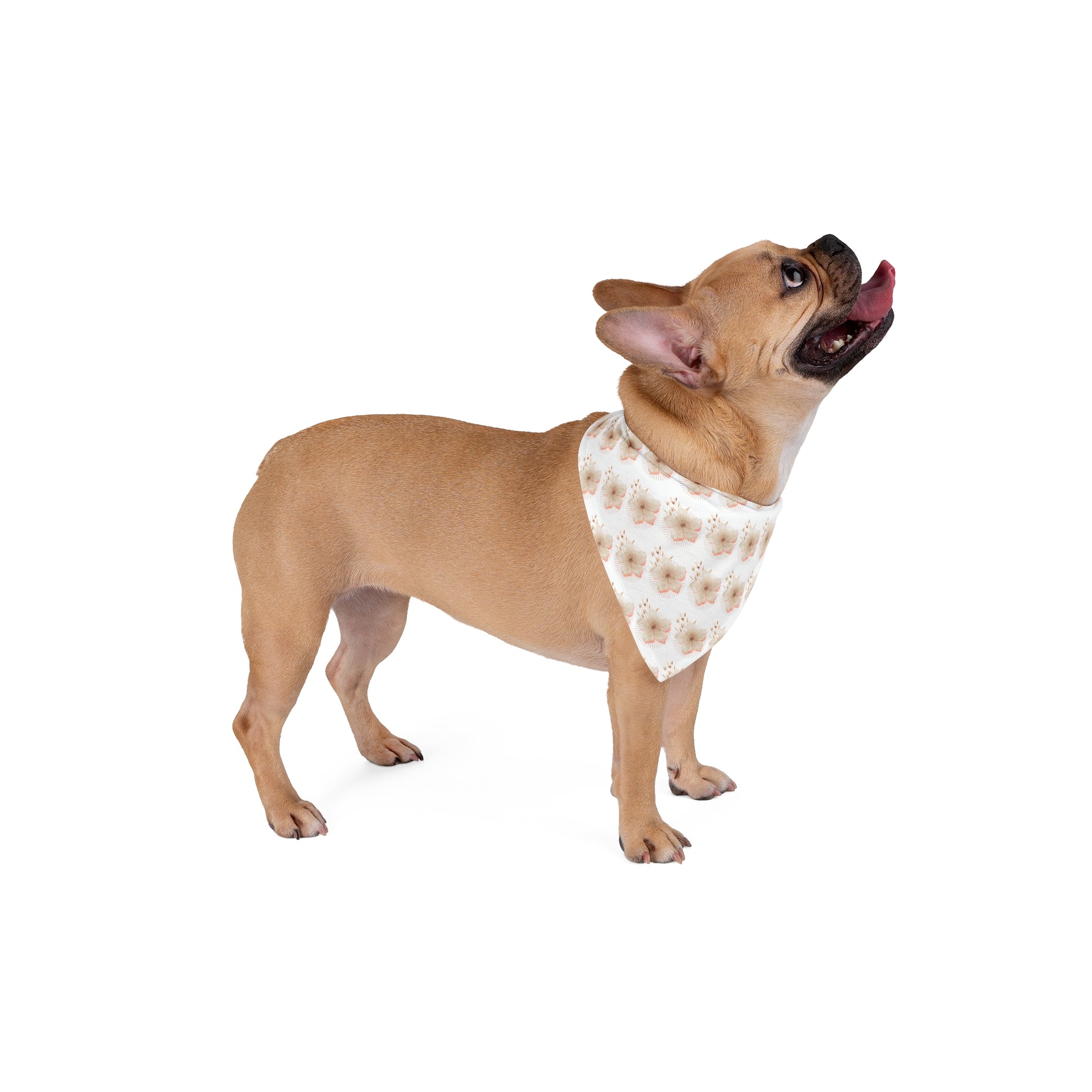 Floral Pet Bandana for Stylish Dogs and Cats - Perfect for New Adventures and Special Occasions - DiRoMi