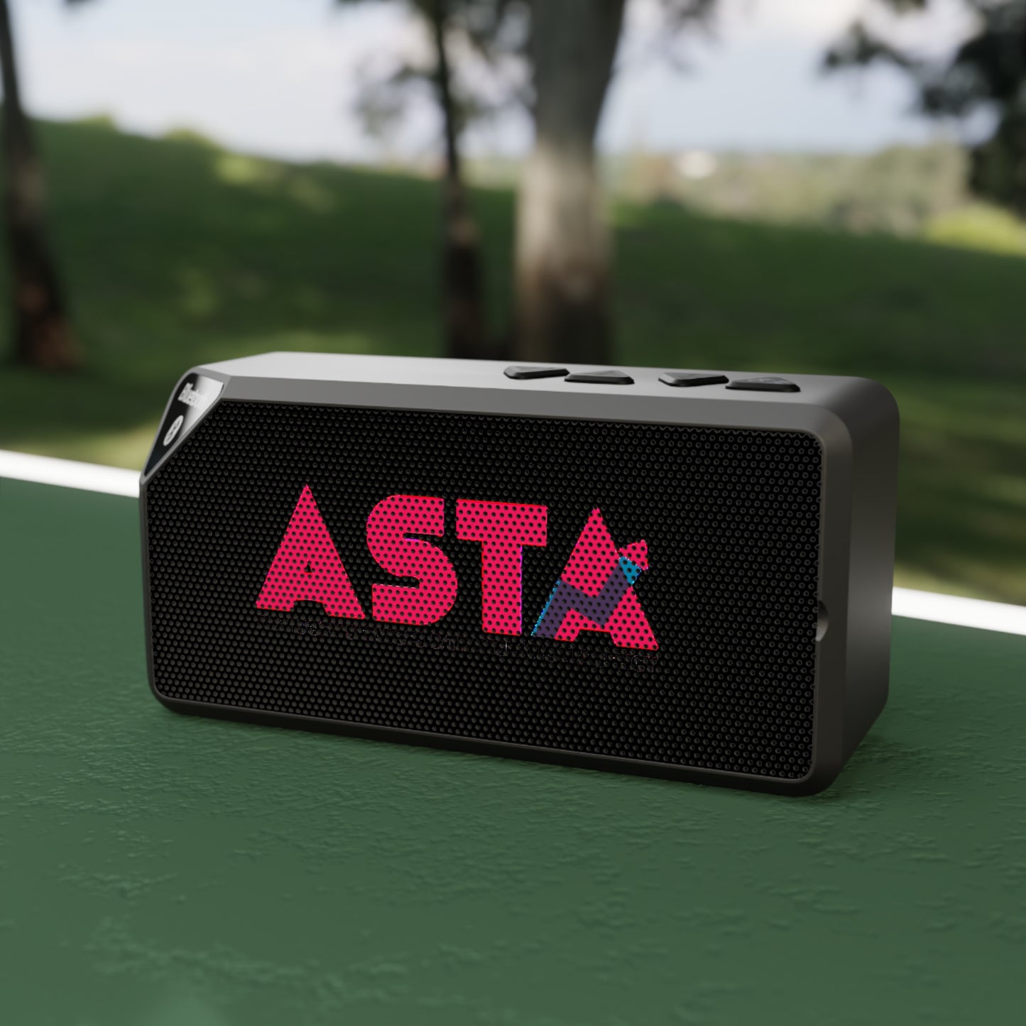 Portable Bluetooth Speaker