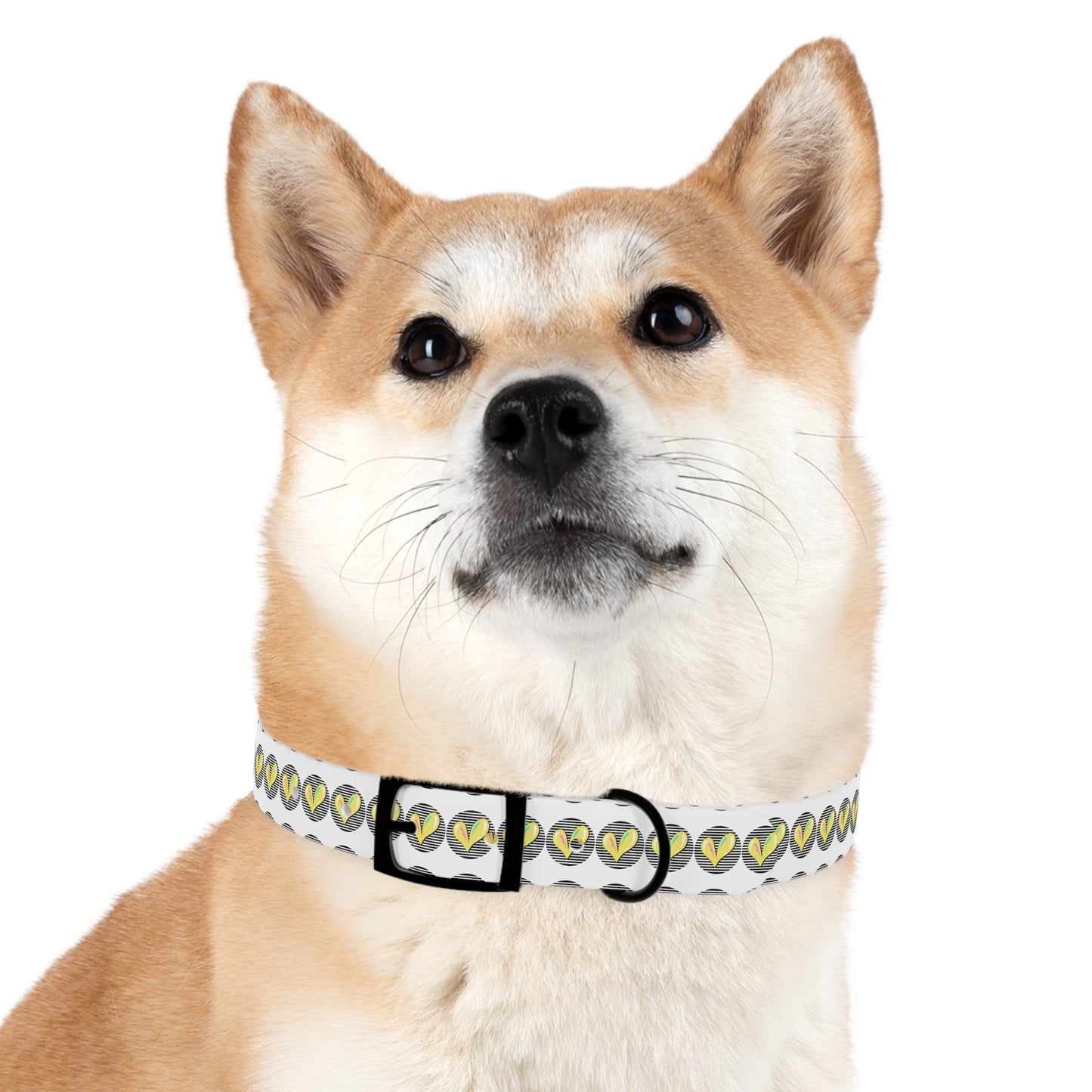 Trendy Dog Collar with Heart Design