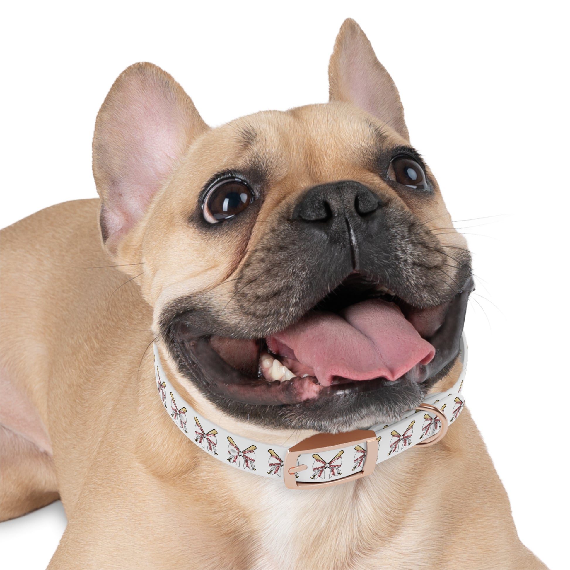 Baseball Bat Dog Collar with Bows - Perfect for Pet Lovers and Sports Fans - DiRoMi