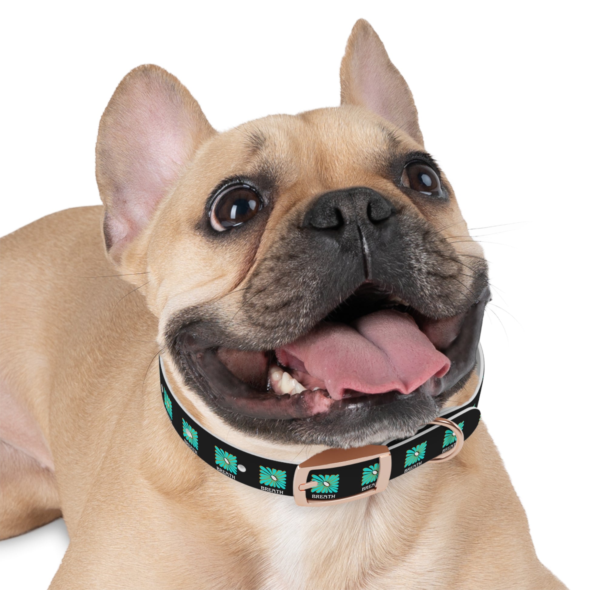 Colorful 'Breathe' Dog Collar - Vibrant Floral Design for Stylish Pets - DiRoMi
