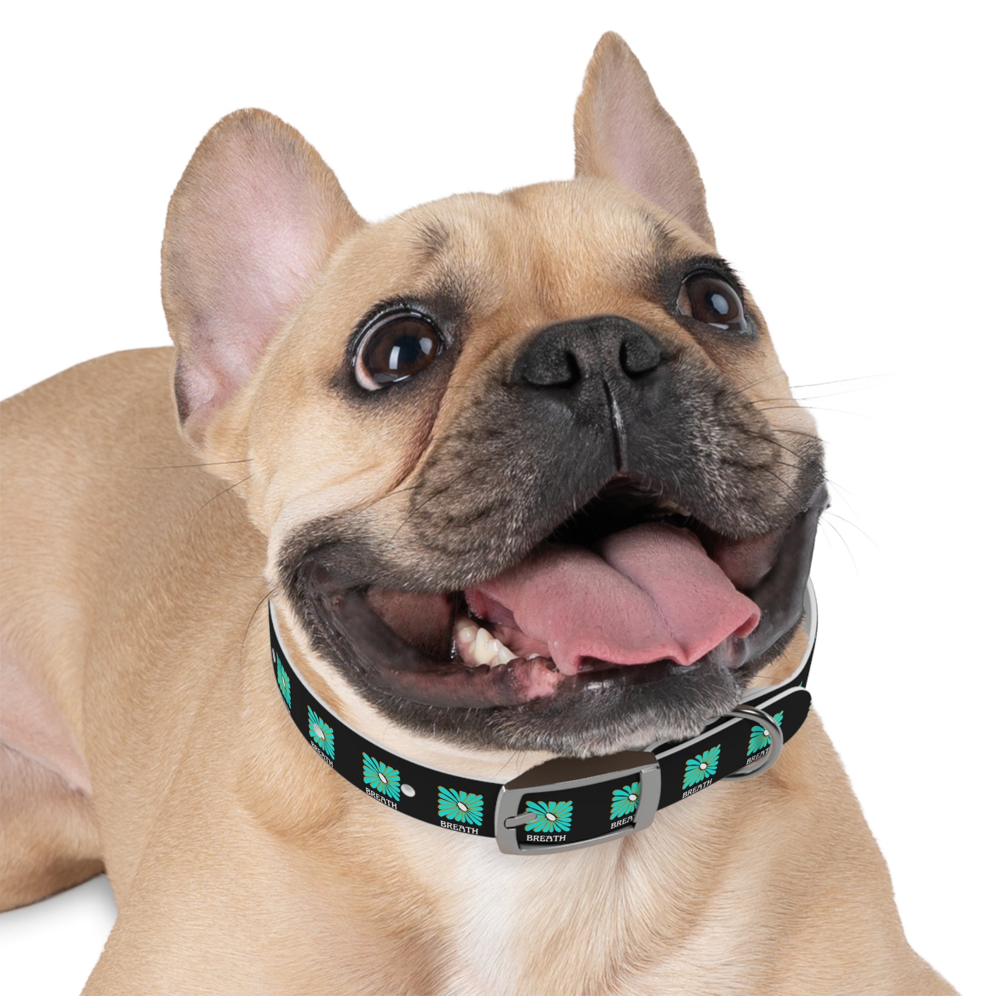 Colorful 'Breathe' Dog Collar - Vibrant Floral Design for Stylish Pets - DiRoMi