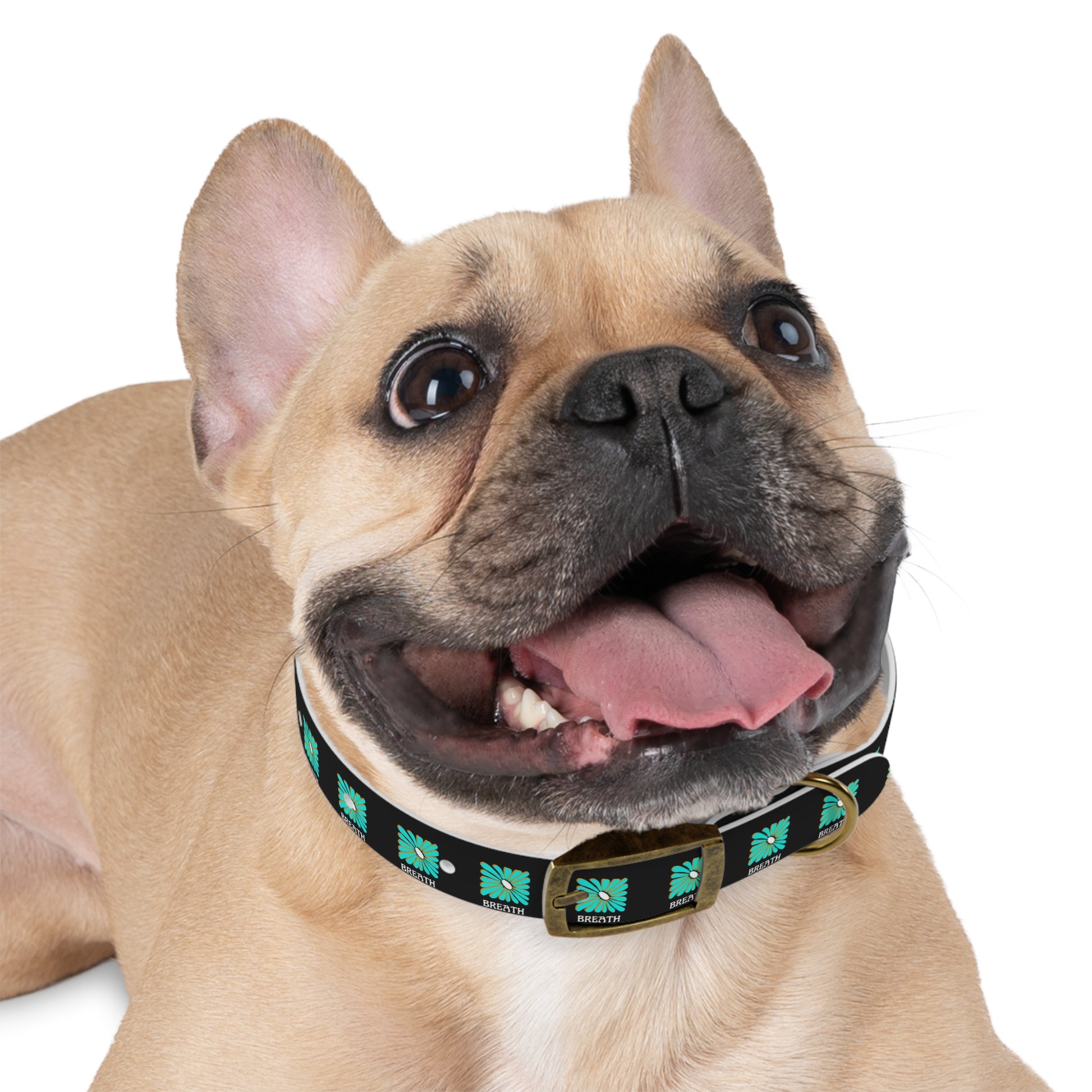 Colorful 'Breathe' Dog Collar - Vibrant Floral Design for Stylish Pets - DiRoMi