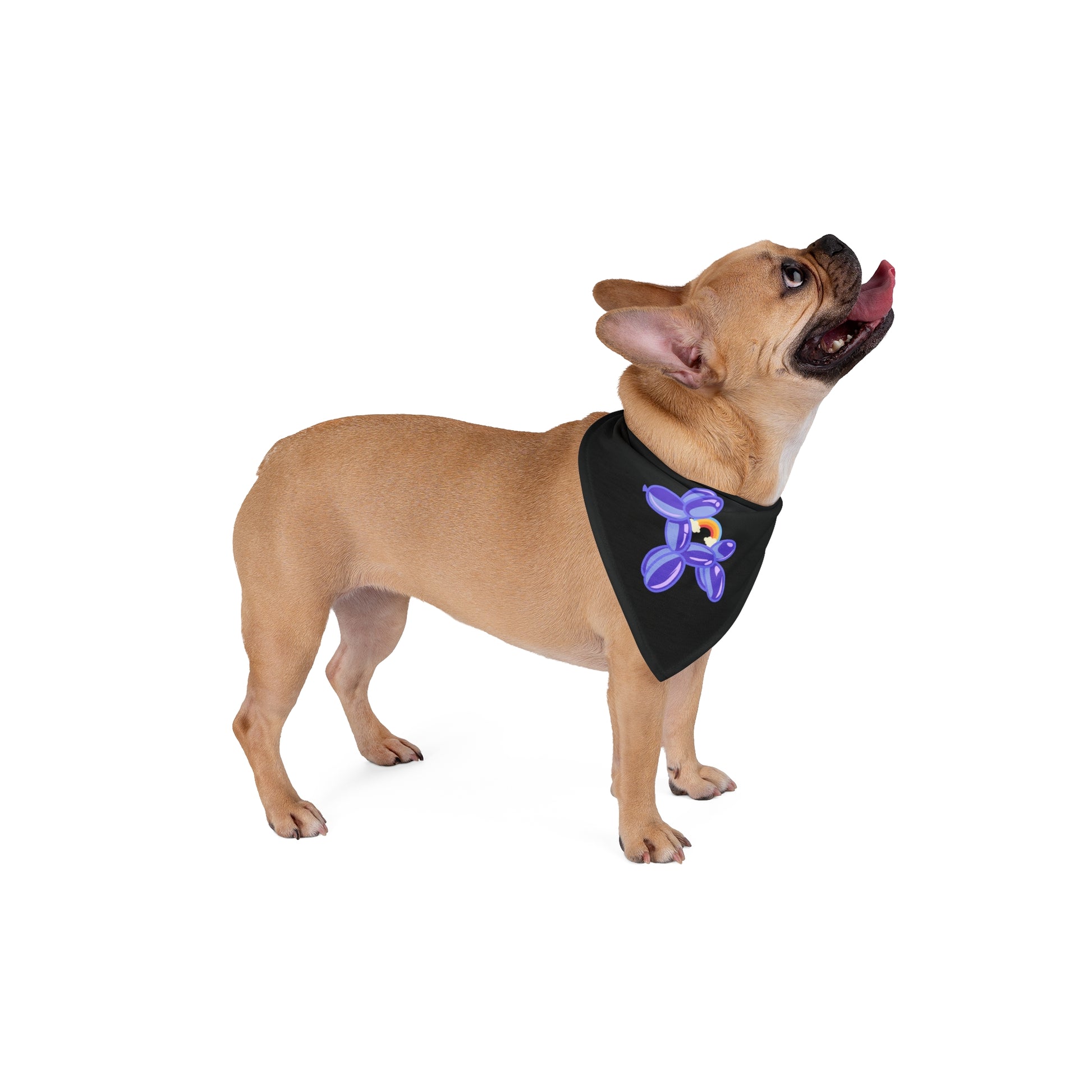 Fun Balloon Dog Pet Bandana - Stylish Accessory for Pets - DiRoMi