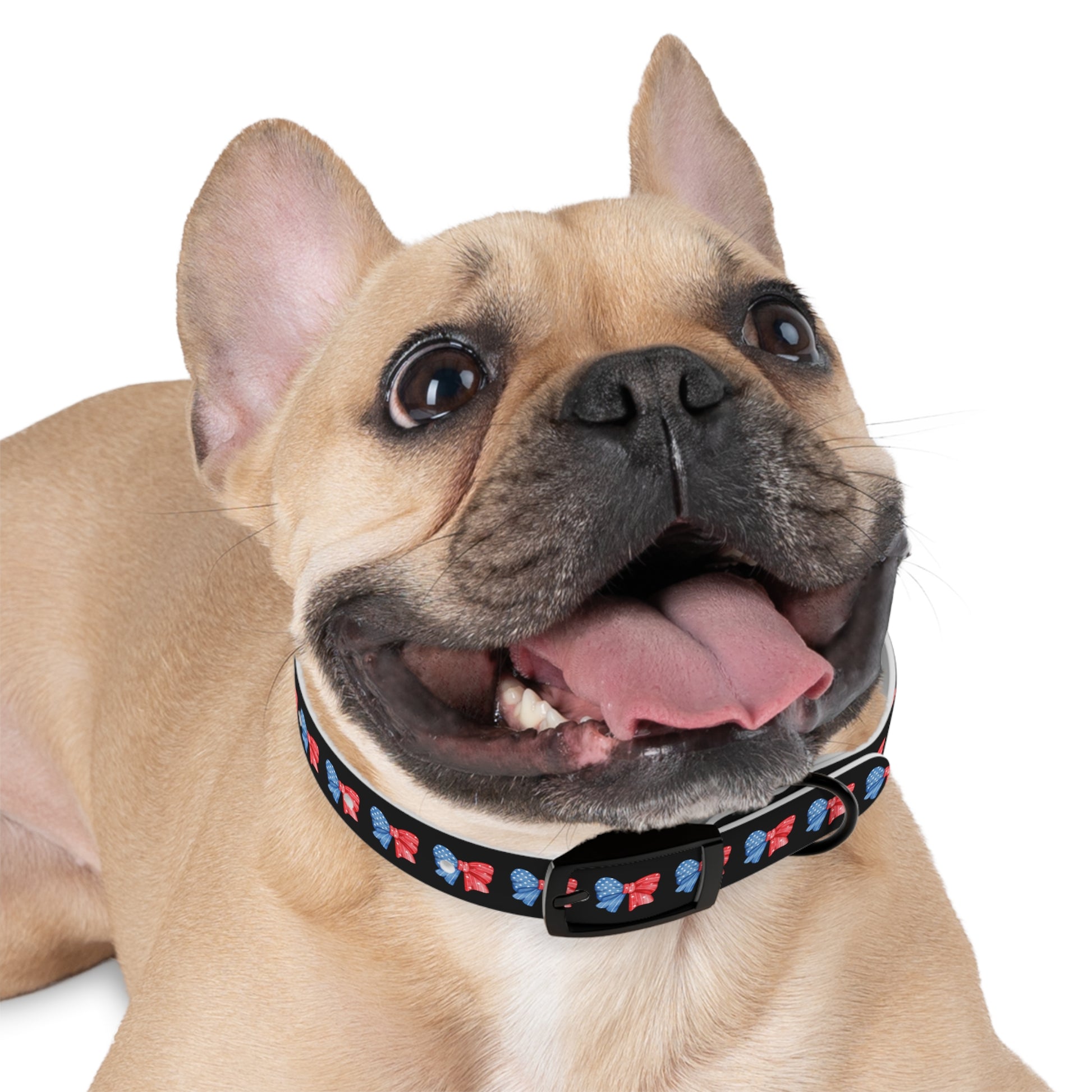 Patriotic Dog Collar with Red and Blue Bows - Perfect for Celebrations! - DiRoMi
