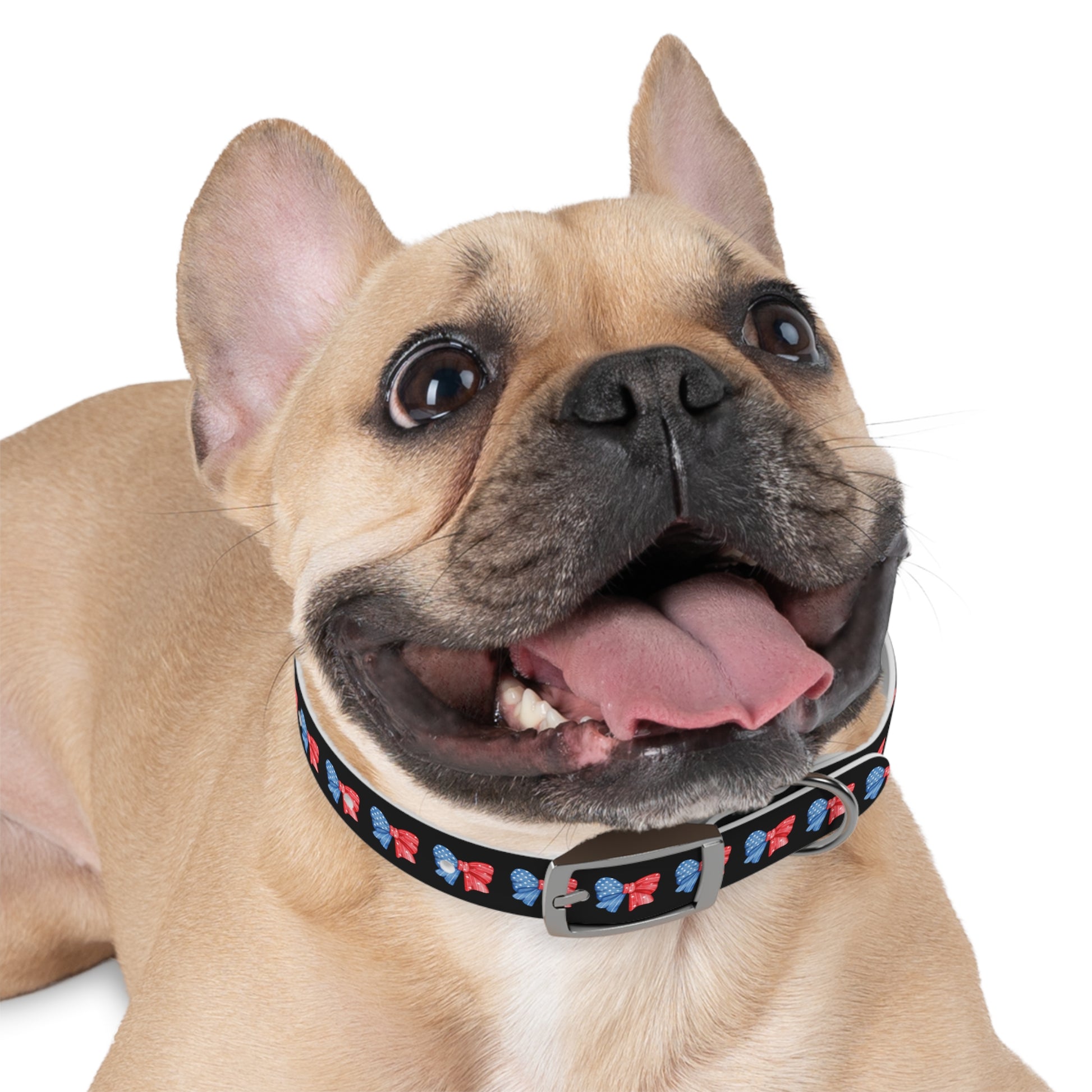 Patriotic Dog Collar with Red and Blue Bows - Perfect for Celebrations! - DiRoMi