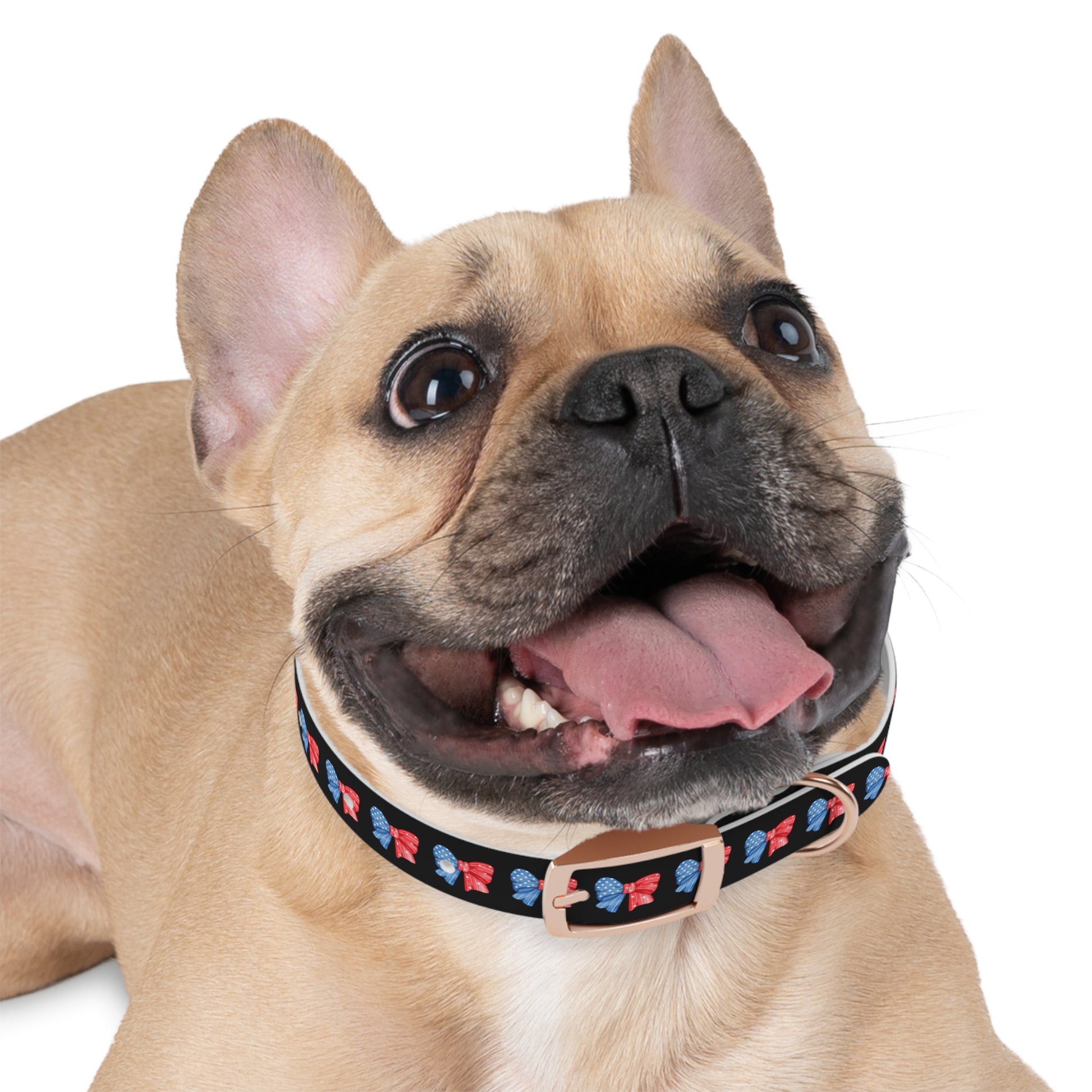 Patriotic Dog Collar with Red and Blue Bows - Perfect for Celebrations! - DiRoMi