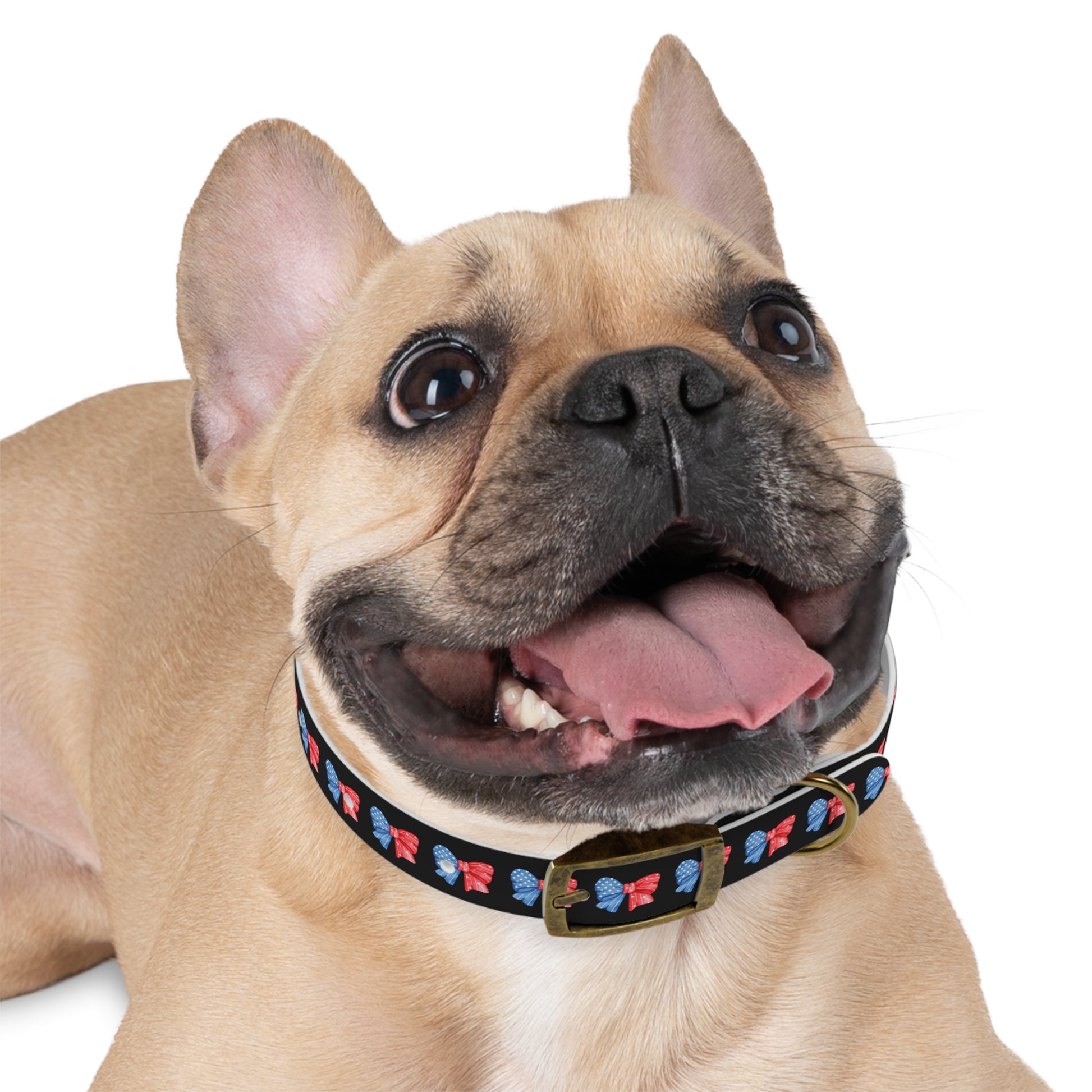 Patriotic Dog Collar with Red and Blue Bows - Perfect for Celebrations! - DiRoMi