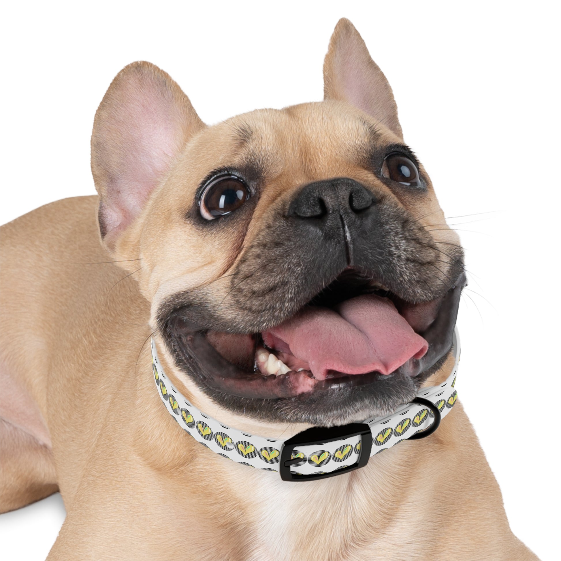 Trendy Dog Collar with Heart Design - DiRoMi