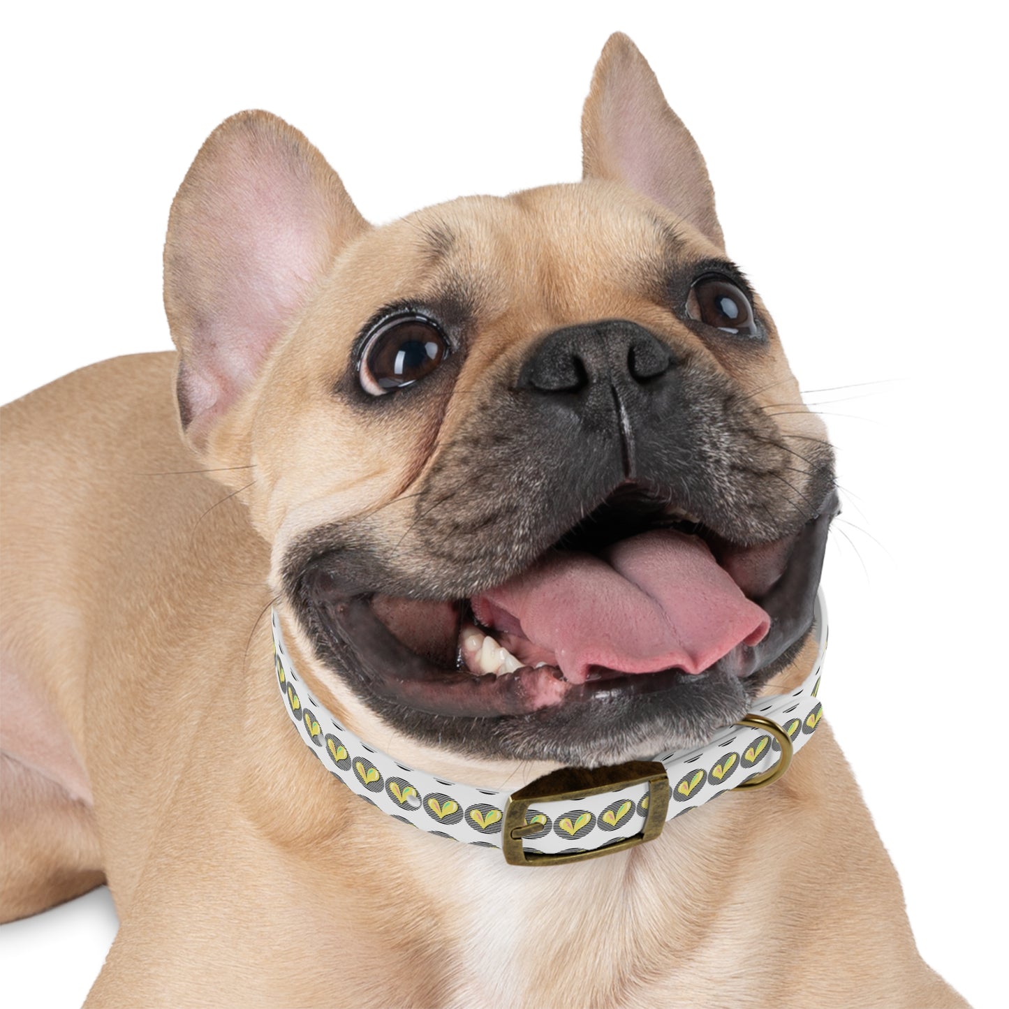 Trendy Dog Collar with Heart Design - DiRoMi